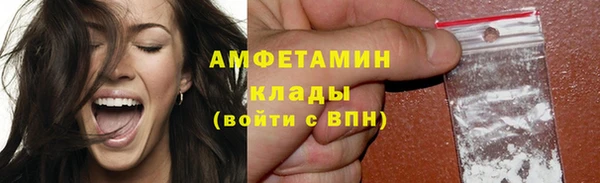 индика Михайловка
