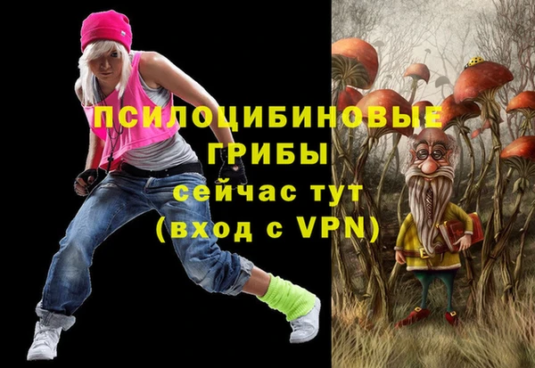 ECSTASY Михайлов
