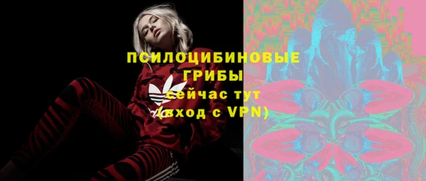 ECSTASY Михайлов