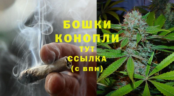 ECSTASY Михайлов