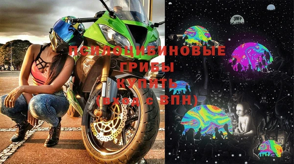 индика Михайловка