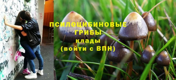 индика Михайловка