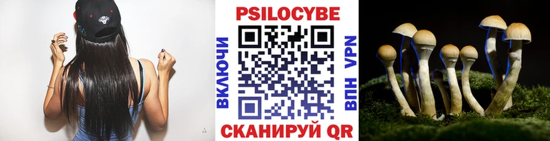 Псилоцибиновые грибы Cubensis  Ессентуки 