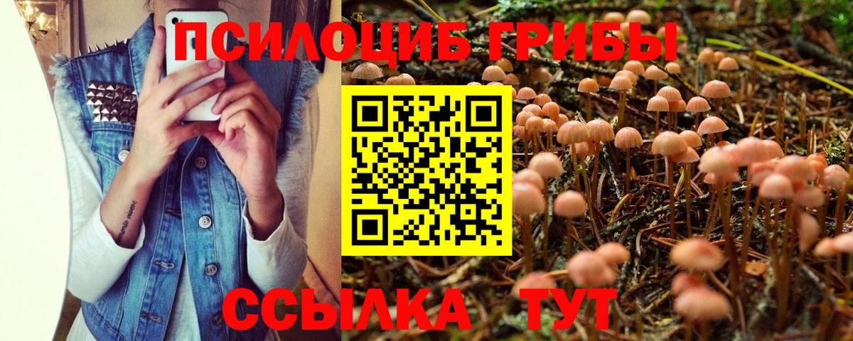 Псилоцибиновые грибы GOLDEN TEACHER  Ессентуки 