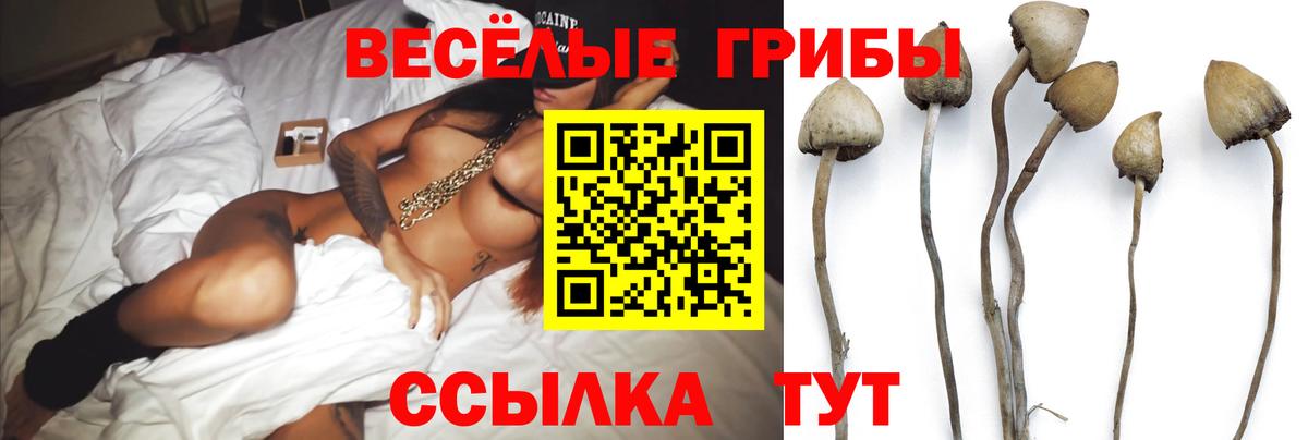 Ессентуки  Псилоцибиновые грибы мухоморы  Вход с VPN 